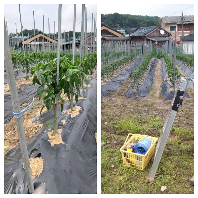 55c95408b9a8d6267d8c904fa739f2a2_1623413267_1697.jpg 55c95408b9a8d6267d8c904fa739f2a2_1623413267_1697.jpg