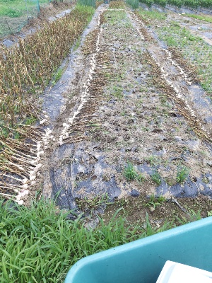 73ed83630fbf72a260919378be9ab934_1624169898_4032.jpg 73ed83630fbf72a260919378be9ab934_1624169898_4032.jpg