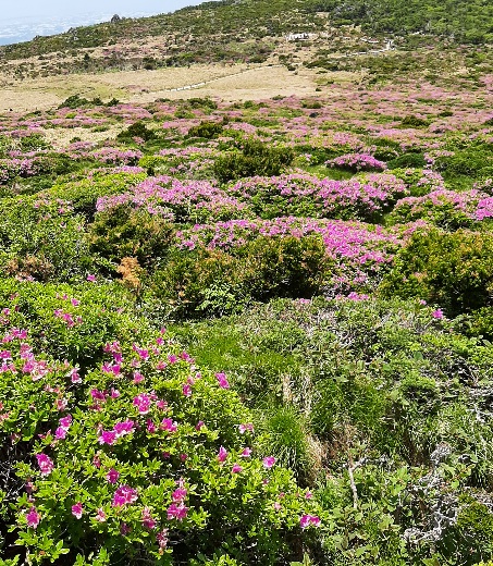 9f5b303d916d33d324e050173a91c403_1622816902_9857.jpg 9f5b303d916d33d324e050173a91c403_1622816902_9857.jpg