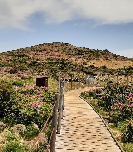 9f5b303d916d33d324e050173a91c403_1622816947_7479.jpg 9f5b303d916d33d324e050173a91c403_1622816947_7479.jpg