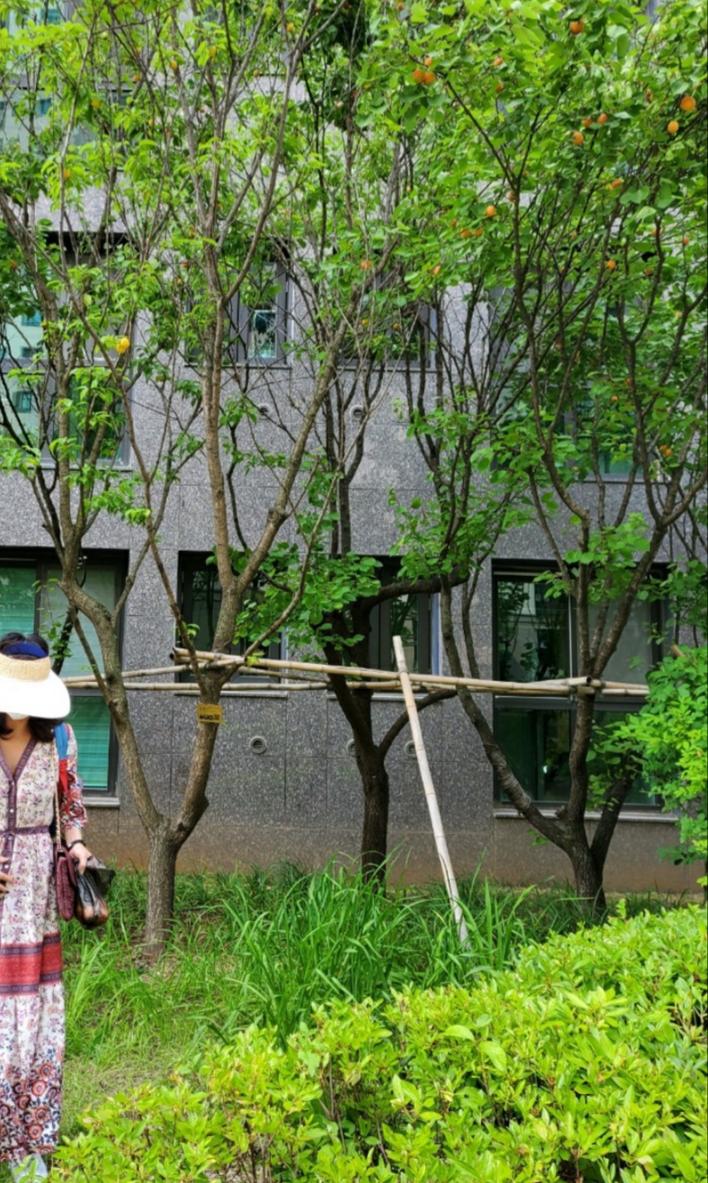 f26a6e959a5d801b71ad09170cb35648_1624528872_672.jpg f26a6e959a5d801b71ad09170cb35648_1624528872_672.jpg