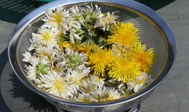 f4169a3e8a031548b607d11875a8fc70_1623906954_214.jpg f4169a3e8a031548b607d11875a8fc70_1623906954_214.jpg