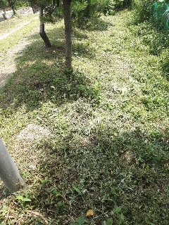 6121b70e4858b78faf95af0ad901ae40_1626787142_1903.jpg 6121b70e4858b78faf95af0ad901ae40_1626787142_1903.jpg