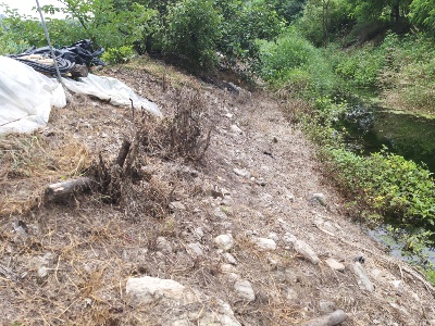 6121b70e4858b78faf95af0ad901ae40_1626787143_4745.jpg 6121b70e4858b78faf95af0ad901ae40_1626787143_4745.jpg