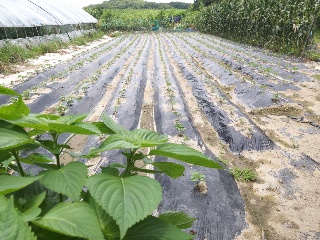 6121b70e4858b78faf95af0ad901ae40_1626787143_9944.jpg 6121b70e4858b78faf95af0ad901ae40_1626787143_9944.jpg