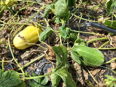 7c586655b8708433289bf54c18c9e615_1627389240_1006.jpg 7c586655b8708433289bf54c18c9e615_1627389240_1006.jpg