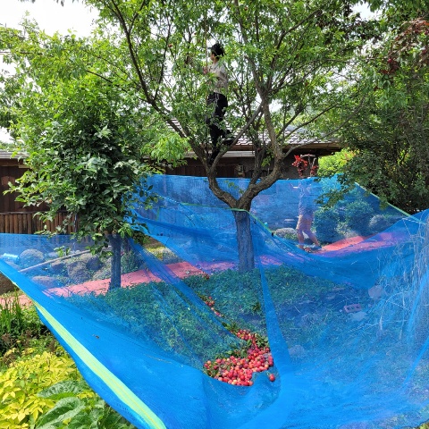 99bf533bfc6c9ce1a4478785c1d99935_1625492788_1353.jpg 99bf533bfc6c9ce1a4478785c1d99935_1625492788_1353.jpg