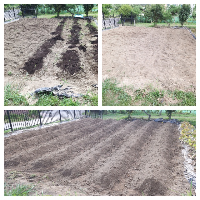 3896feec38833b28dadf6ac3b08e8712_1628045097_4259.jpg 3896feec38833b28dadf6ac3b08e8712_1628045097_4259.jpg