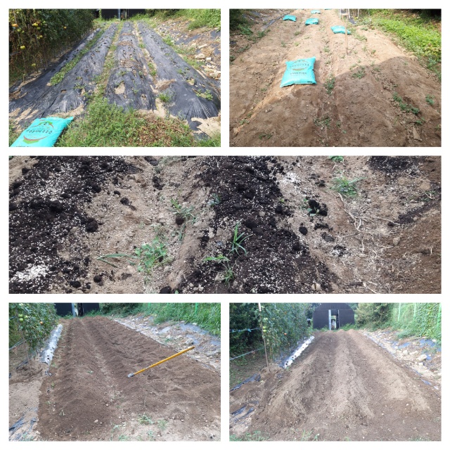 3896feec38833b28dadf6ac3b08e8712_1628045098_7355.jpg 3896feec38833b28dadf6ac3b08e8712_1628045098_7355.jpg