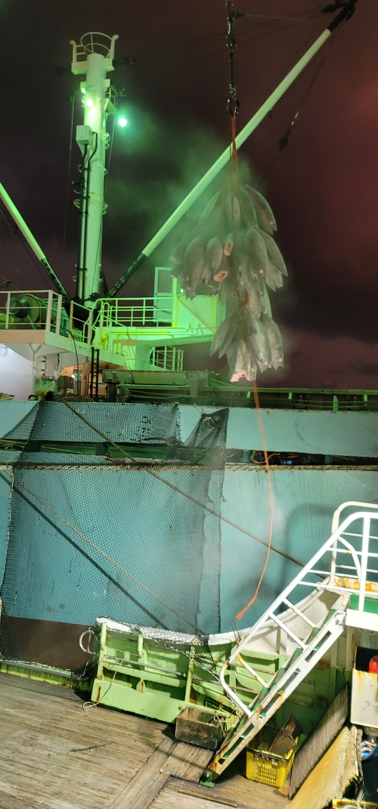 a316c0e809dd8d02cf4660e19a5091d0_1648634007_7143.jpg a316c0e809dd8d02cf4660e19a5091d0_1648634007_7143.jpg