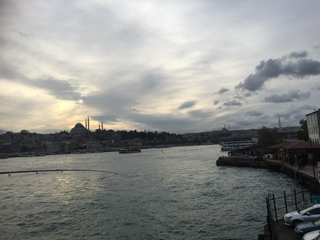 55302693f8207a4effe7d7800607af60_1683689954_449.jpeg 55302693f8207a4effe7d7800607af60_1683689954_449.jpeg