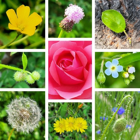 dbe8c89cb51aa5d8381b0935dfe47708_1685194686_3516.jpg dbe8c89cb51aa5d8381b0935dfe47708_1685194686_3516.jpg