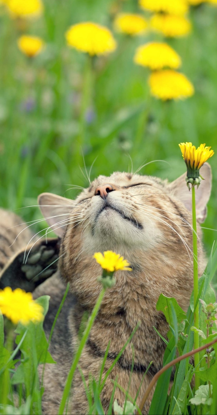 59fc8801cb9a218e04bc4c214ae30a3d_1687266349_5863.jpg 59fc8801cb9a218e04bc4c214ae30a3d_1687266349_5863.jpg