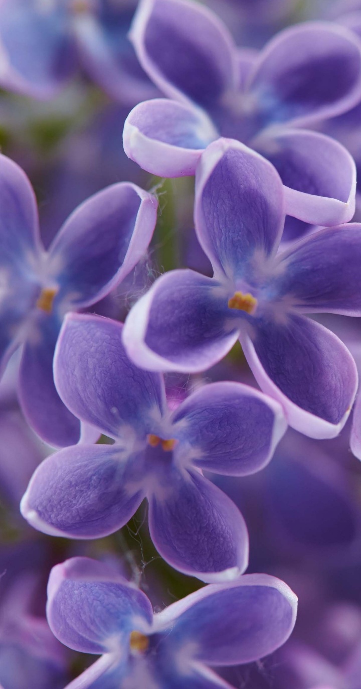 59fc8801cb9a218e04bc4c214ae30a3d_1687328121_6681.jpg 59fc8801cb9a218e04bc4c214ae30a3d_1687328121_6681.jpg