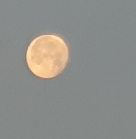 dd071d54ee8af5b0b0b229d79e37f0e9_1686324888_3439.jpg dd071d54ee8af5b0b0b229d79e37f0e9_1686324888_3439.jpg