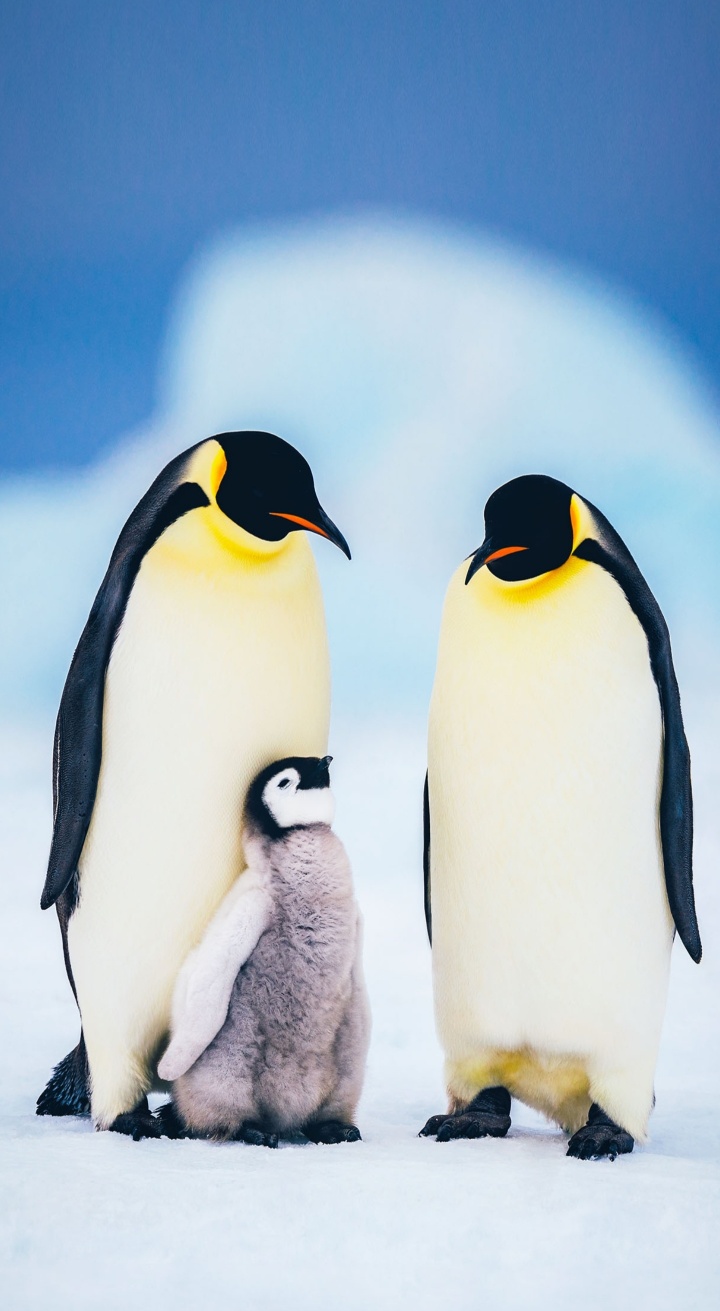 dd071d54ee8af5b0b0b229d79e37f0e9_1686466420_473.jpg dd071d54ee8af5b0b0b229d79e37f0e9_1686466420_473.jpg