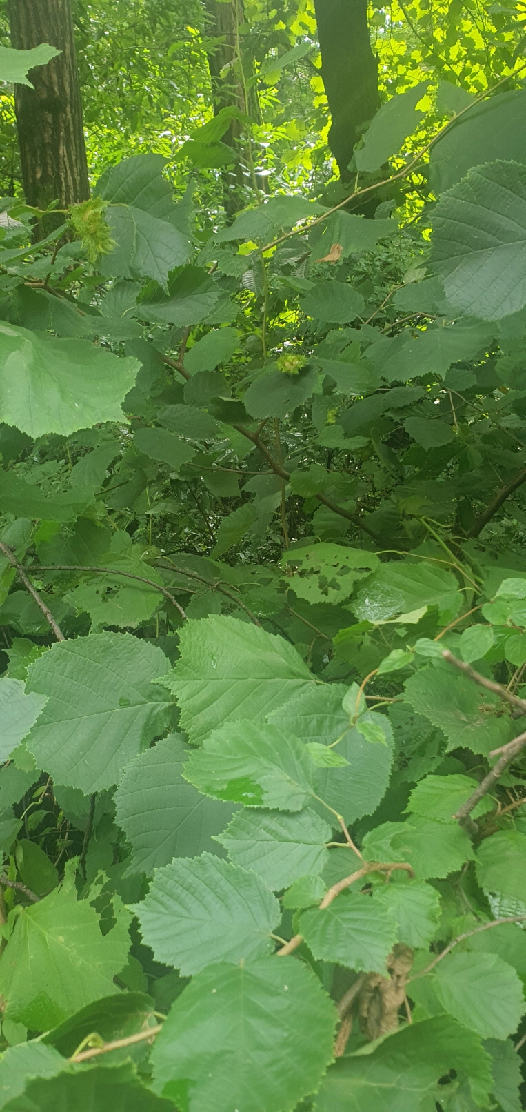 badd33644747f96664d265c3a9fa219a_1690176403_5644.jpg badd33644747f96664d265c3a9fa219a_1690176403_5644.jpg