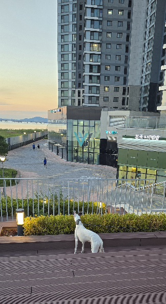 411349244199969c835d6b356d122b57_1757392585_7921.jpg 411349244199969c835d6b356d122b57_1757392585_7921.jpg