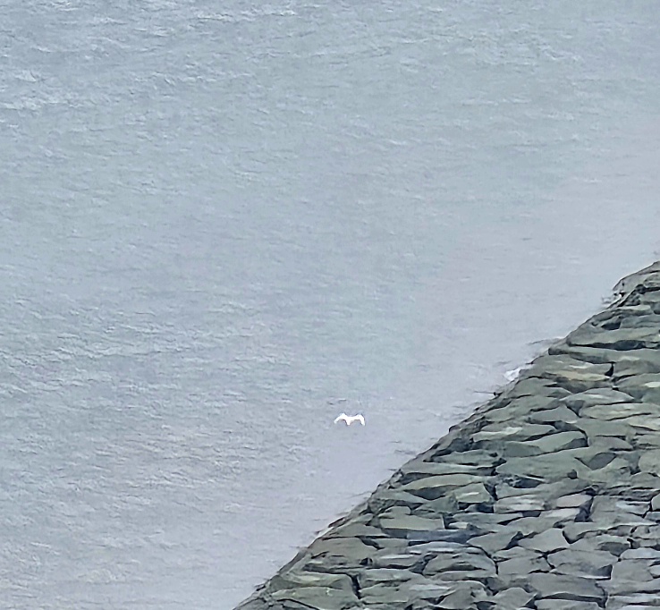 ee635979c6bb887da51ee79a6aa66117_1757733887_0962.jpg ee635979c6bb887da51ee79a6aa66117_1757733887_0962.jpg