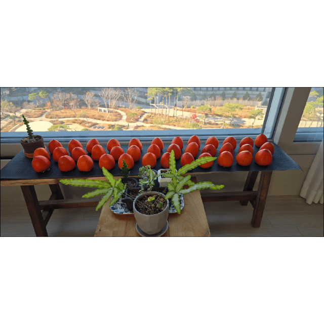 8f913ecc35a50bef292cdb48b00a138f_1764297120_4692.gif 8f913ecc35a50bef292cdb48b00a138f_1764297120_4692.gif