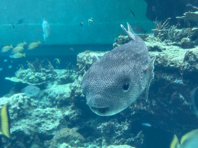 9653f512bbb850a30e8513d0c82eaf3d_1772521153_9364.jpeg 9653f512bbb850a30e8513d0c82eaf3d_1772521153_9364.jpeg