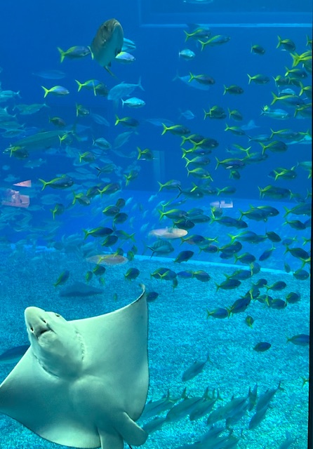 9653f512bbb850a30e8513d0c82eaf3d_1772521155_177.jpeg 9653f512bbb850a30e8513d0c82eaf3d_1772521155_177.jpeg