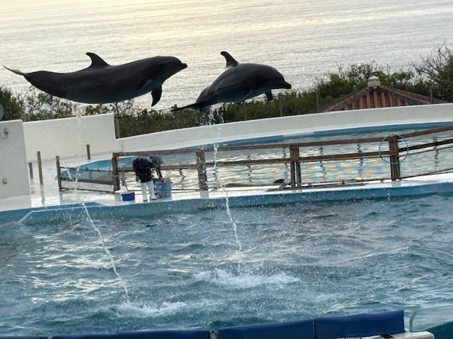 9653f512bbb850a30e8513d0c82eaf3d_1772521156_4636.jpeg 9653f512bbb850a30e8513d0c82eaf3d_1772521156_4636.jpeg