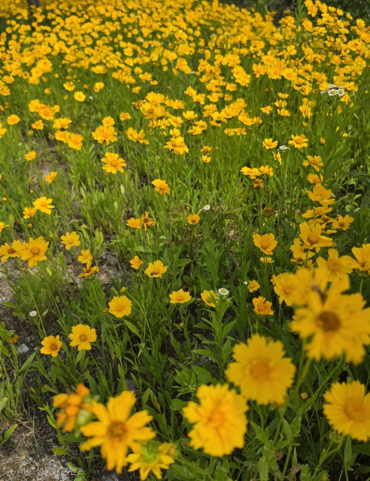 2a8860de2a20ee34d7403c69ffc0a011_1779700687_7727.jpg 2a8860de2a20ee34d7403c69ffc0a011_1779700687_7727.jpg