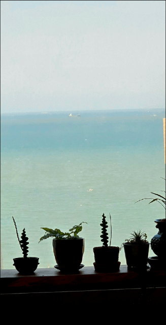 83be9e354e0a2702b2fc71b09930acc2_1777864339_1827.gif