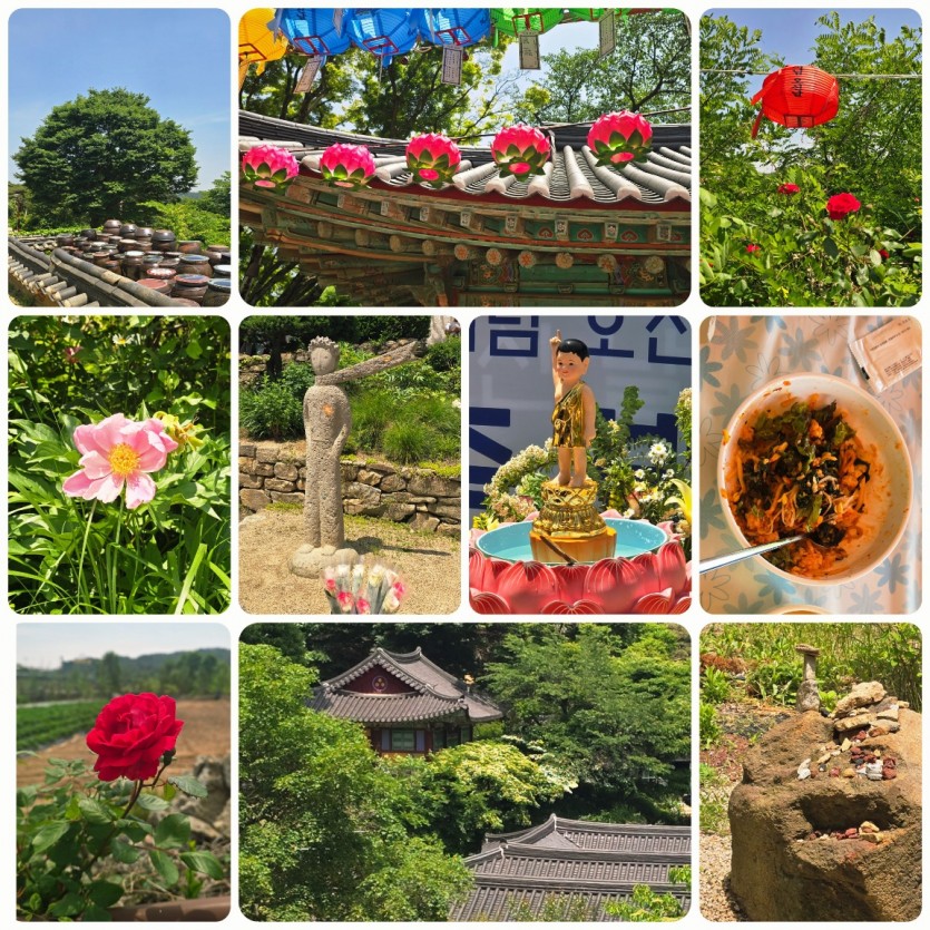 a799b03c5ab067a86670370c57c1a8e6_1779687752_0846.jpg