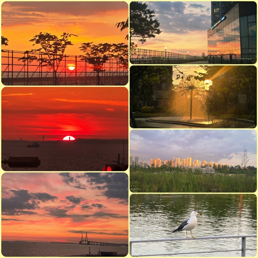 0b63e4dedc5d3922d2305810b92f6685_1782796439_379.jpg