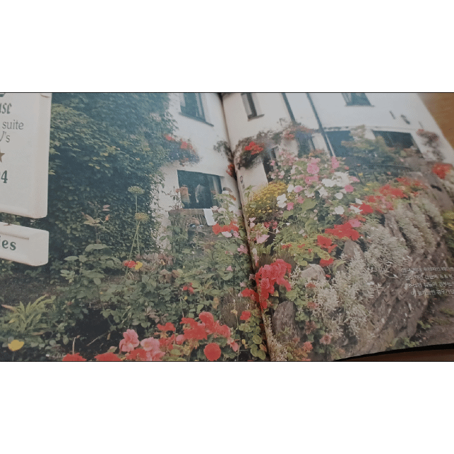 2002ab8949d848b0a8039b1c8cb89ea9_1785052027_4853.gif