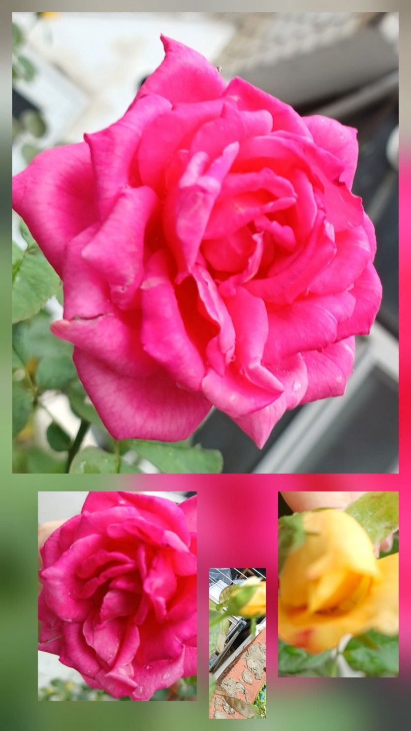 034597268dbde985679138b76f149e3d_1784813949_1518.jpg