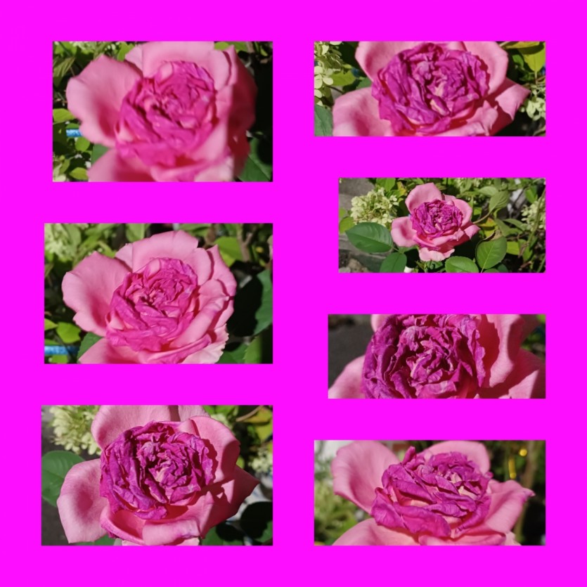 5a7ea0f277b5d8345faa88585aa60a42_1786548550_8128.jpg