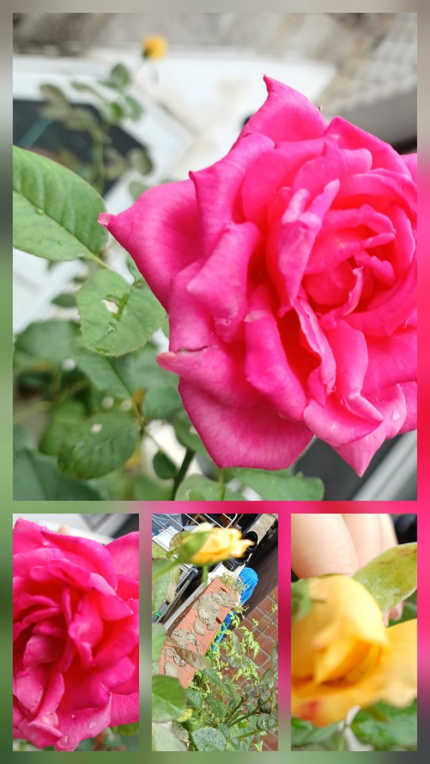 bbe71db6f6aeb576d6baedf9f71fde35_1785685203_9255.jpg